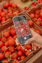 Load image into Gallery viewer, TOMATO CHARMED CLAW