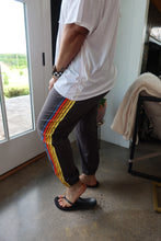 Load image into Gallery viewer, Contrast Striped Elastic Waist Active Pants