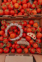Load image into Gallery viewer, BROWN GINGHAM TOMATO CHARM CLAW
